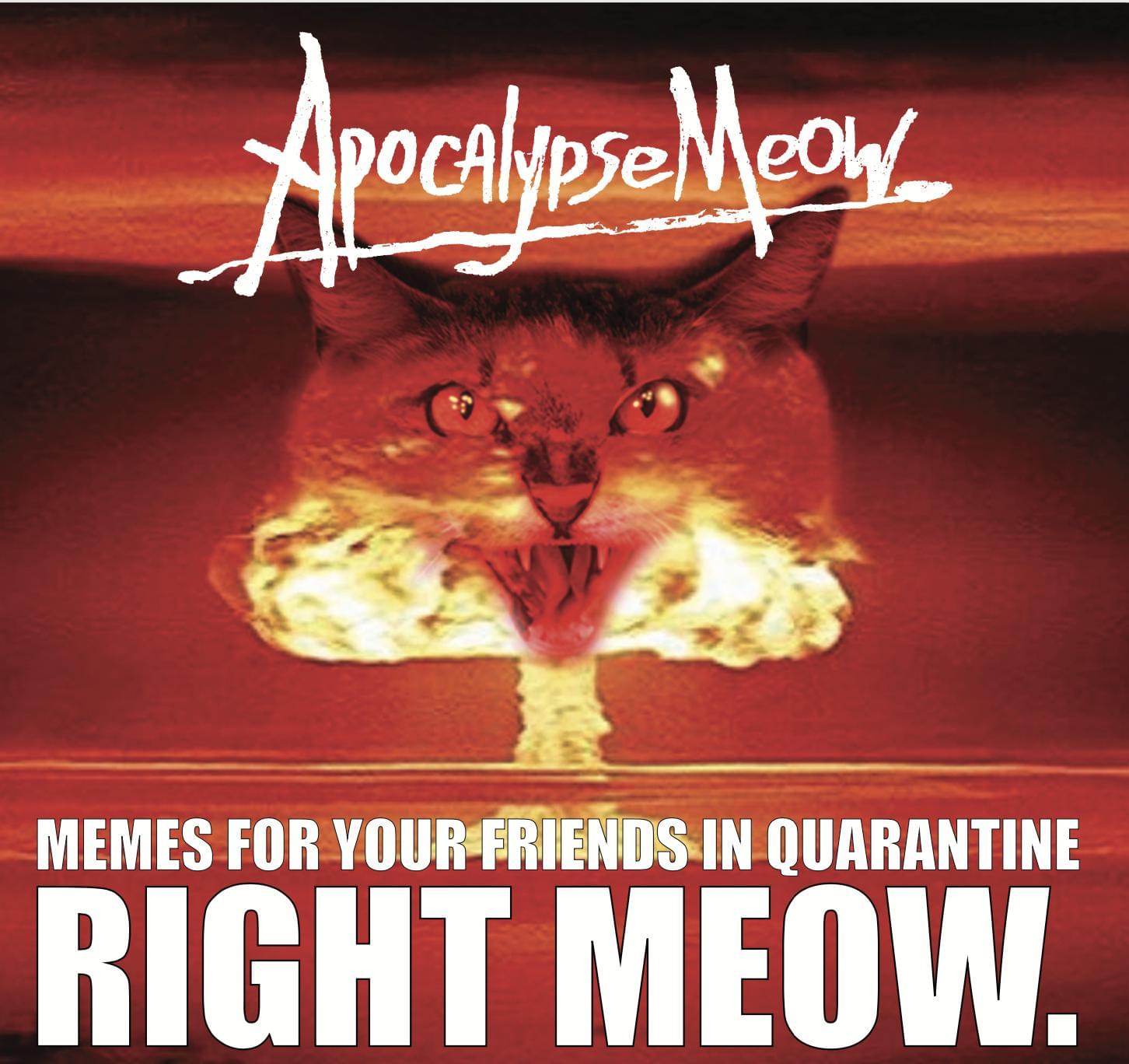 Apocolypse Meow, Memes for your friends in Quarantine, right meow!