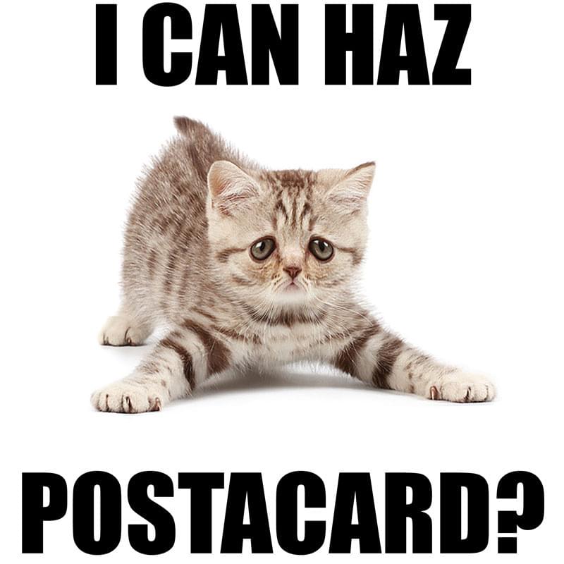 I CAN HAZ POSTCARDS?